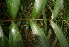  (Welfia - BioBot05234)  @11 [ ] Copyright (2010) Unspecified Unspecified