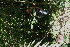  ( - BioBot05242)  @11 [ ] Copyright (2010) Unspecified Unspecified