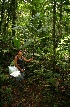  ( - BioBot05243)  @11 [ ] CreativeCommons - Attribution Non-Commercial Share-Alike (2010) Daniel H. Janzen Guanacaste Dry Forest Conservation Fund