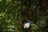  ( - BioBot05244)  @11 [ ] Copyright (2010) Unspecified Unspecified