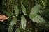  ( - BioBot05244)  @11 [ ] Copyright (2010) Unspecified Unspecified