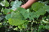  ( - BioBot05257)  @11 [ ] Copyright (2010) Unspecified Unspecified