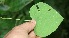  ( - BioBot05257)  @11 [ ] Copyright (2010) Unspecified Unspecified