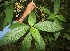  ( - BioBot05269)  @11 [ ] Copyright (2010) Unspecified Unspecified