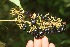  ( - BioBot05269)  @11 [ ] Copyright (2010) Unspecified Unspecified