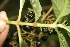  ( - BioBot05269)  @11 [ ] Copyright (2010) Unspecified Unspecified