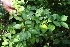  ( - BioBot05278)  @11 [ ] Copyright (2010) Unspecified Unspecified