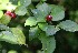  ( - BioBot05278)  @11 [ ] Copyright (2010) Unspecified Unspecified
