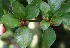  ( - BioBot05278)  @11 [ ] Copyright (2010) Unspecified Unspecified