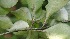  ( - BioBot05278)  @11 [ ] Copyright (2010) Unspecified Unspecified