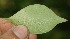  ( - BioBot05278)  @11 [ ] Copyright (2010) Unspecified Unspecified