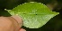 ( - BioBot05278)  @11 [ ] Copyright (2010) Unspecified Unspecified