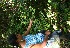  ( - BioBot05279)  @11 [ ] Copyright (2010) Unspecified Unspecified