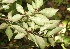  ( - BioBot05279)  @11 [ ] Copyright (2010) Unspecified Unspecified