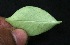  ( - BioBot05279)  @11 [ ] Copyright (2010) Unspecified Unspecified