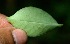  ( - BioBot05279)  @11 [ ] Copyright (2010) Unspecified Unspecified