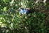  ( - BioBot05280)  @11 [ ] Copyright (2010) Unspecified Unspecified