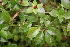  ( - BioBot05280)  @11 [ ] Copyright (2010) Unspecified Unspecified