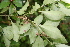  ( - BioBot05280)  @11 [ ] Copyright (2010) Unspecified Unspecified