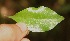  ( - BioBot05280)  @11 [ ] Copyright (2010) Unspecified Unspecified