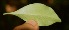  ( - BioBot05280)  @11 [ ] Copyright (2010) Unspecified Unspecified