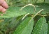  ( - BioBot05284)  @11 [ ] Copyright (2010) Unspecified Unspecified