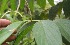  ( - BioBot05284)  @11 [ ] Copyright (2010) Unspecified Unspecified