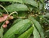  ( - BioBot05285)  @11 [ ] Copyright (2010) Unspecified Unspecified