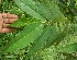 ( - BioBot05286)  @11 [ ] Copyright (2010) Unspecified Unspecified