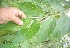  ( - BioBot05286)  @11 [ ] Copyright (2010) Unspecified Unspecified