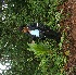  ( - BioBot05287)  @11 [ ] Copyright (2010) Unspecified Unspecified