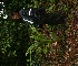  ( - BioBot05288)  @11 [ ] Copyright (2010) Unspecified Unspecified
