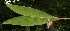  ( - BioBot05288)  @11 [ ] Copyright (2010) Unspecified Unspecified