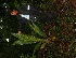  ( - BioBot05289)  @11 [ ] Copyright (2010) Unspecified Unspecified