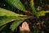  ( - BioBot05289)  @11 [ ] Copyright (2010) Unspecified Unspecified