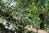  ( - BioBot05290)  @11 [ ] Copyright (2010) Unspecified Unspecified