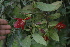  ( - BioBot05290)  @11 [ ] Copyright (2010) Unspecified Unspecified