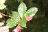  ( - BioBot05290)  @11 [ ] Copyright (2010) Unspecified Unspecified