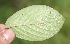  ( - BioBot05290)  @11 [ ] Copyright (2010) Unspecified Unspecified