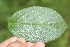  ( - BioBot05290)  @11 [ ] Copyright (2010) Unspecified Unspecified