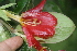  ( - BioBot05290)  @11 [ ] Copyright (2010) Unspecified Unspecified