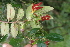 ( - BioBot05291)  @11 [ ] Copyright (2010) Unspecified Unspecified