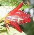  ( - BioBot05291)  @11 [ ] Copyright (2010) Unspecified Unspecified