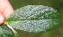  ( - BioBot05291)  @11 [ ] Copyright (2010) Unspecified Unspecified