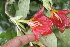  ( - BioBot05292)  @11 [ ] Copyright (2010) Unspecified Unspecified