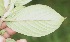  ( - BioBot05292)  @12 [ ] Copyright (2010) Unspecified Unspecified