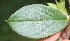  ( - BioBot05292)  @12 [ ] Copyright (2010) Unspecified Unspecified