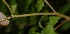  ( - BioBot05293)  @11 [ ] Copyright (2010) Unspecified Unspecified