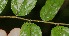  ( - BioBot05293)  @11 [ ] Copyright (2010) Unspecified Unspecified