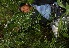  ( - BioBot05294)  @11 [ ] Copyright (2010) Unspecified Unspecified